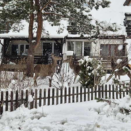 Apartament Wokol Stolu 자코파네 외부 사진